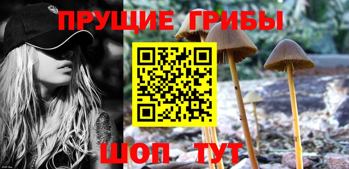 Лесозаводск  Галлюциногенные грибы Psilocybine cubensis  Вход с VPN 